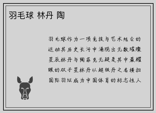 羽毛球 林丹 陶