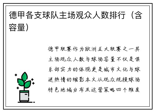 德甲各支球队主场观众人数排行（含容量）